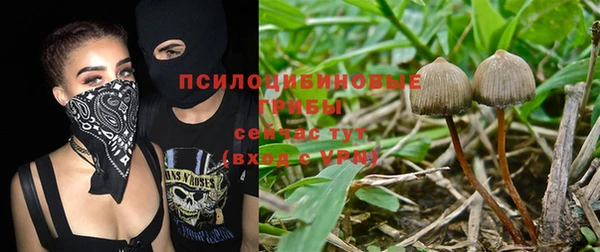прущий лед Алексеевка