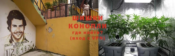 крисы Алзамай
