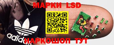 гидра Гагарин