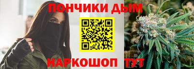 гидра Гагарин