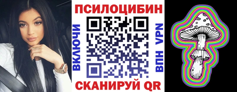 где продают   Новоалександровск  Псилоцибиновые грибы Psilocybine cubensis 