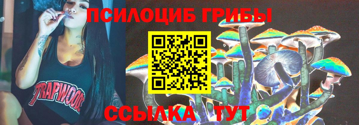 Галлюциногенные грибы Magic Shrooms  Вход с VPN  наркотики  Галлюциногенные грибы Cubensis  Новоалександровск 