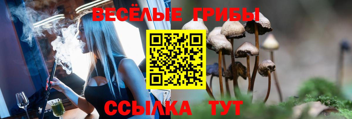 Галлюциногенные грибы ЛСД Новоалександровск