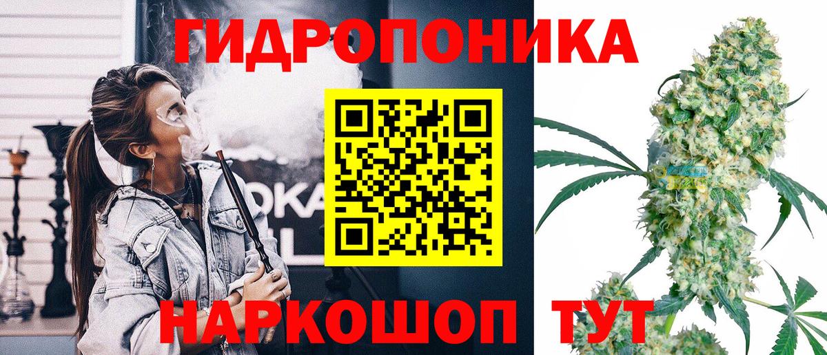 Бошки марихуана сатива  Бошки Шишки MAZAR  Конопля OG Kush  Вход с VPN  Новоалександровск  Канабис гибрид 